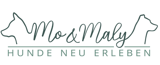 Mo und Maly – Hunde neu erleben