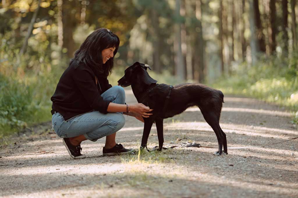 Selbstwahrnehmung und Reflexion